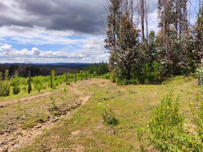 Parcelas venta  5000m2 , Talcamavida -  Hualqui, Crédito directo
