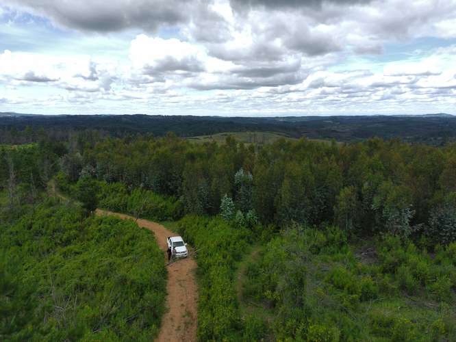 Parcelas venta  5000m2 , Talcamavida -  Hualqui, Crédito directo