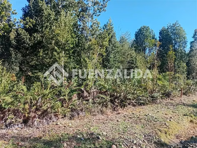 Parcela en venta Lomas de Maullin sector las lomas - Imagen 12