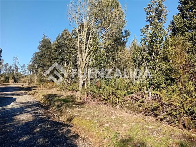 Parcela en venta Lomas de Maullin sector las lomas - Imagen 8