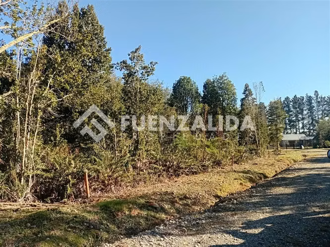 Parcela en venta Lomas de Maullin sector las lomas - Imagen 14