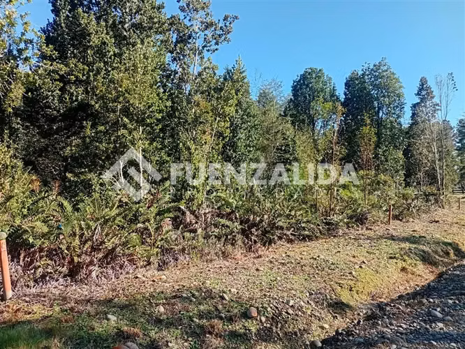 Parcela en venta Lomas de Maullin sector las lomas - Imagen 5