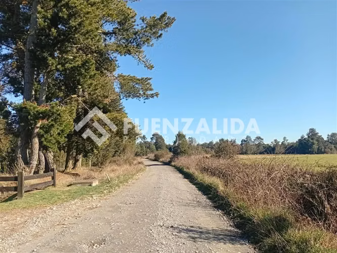 Parcela en venta Lomas de Maullin sector las lomas - Imagen 18