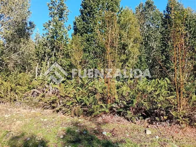 Parcela en venta Lomas de Maullin sector las lomas - Imagen 6