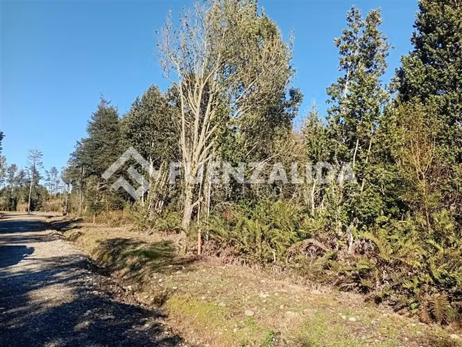 Parcela en venta Lomas de Maullin sector las lomas - Imagen 10