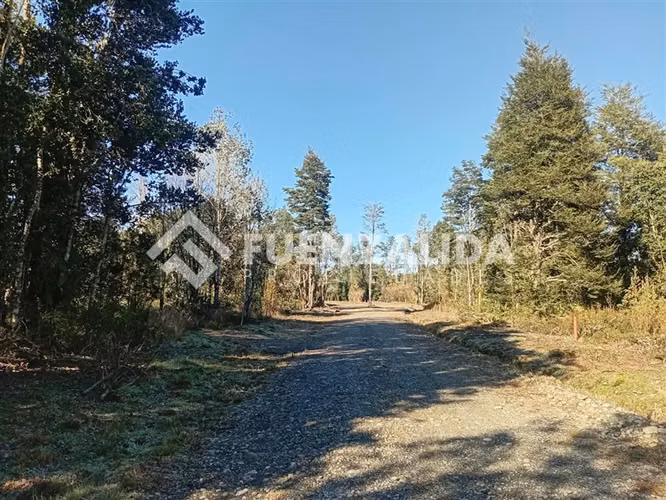 Parcela en venta Lomas de Maullin sector las lomas - Imagen 3