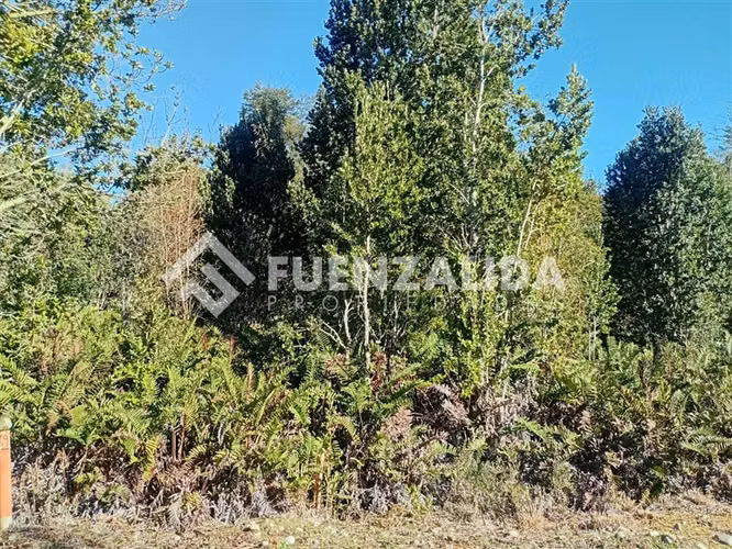 Parcela en venta Lomas de Maullin sector las lomas - Imagen 9