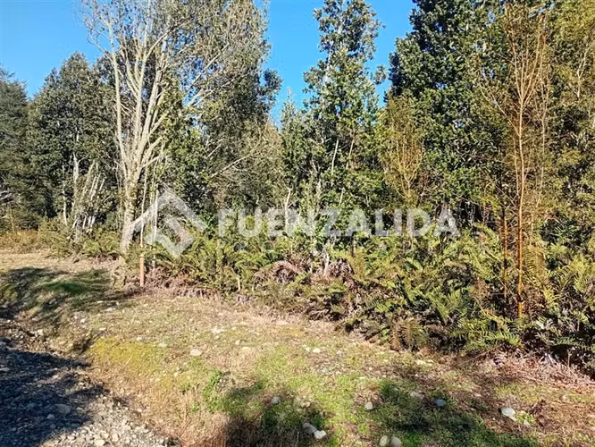 Parcela en venta Lomas de Maullin sector las lomas - Imagen 7
