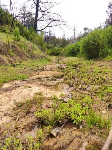 Parcelas venta $m2 , Talcamavida -  Hualqui, Crédito directo