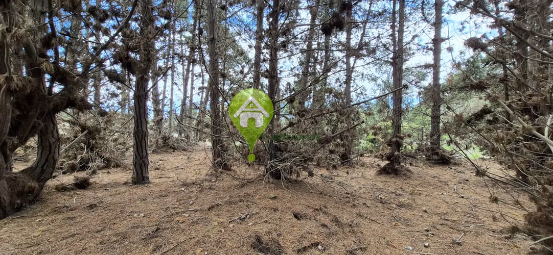 Terreno en Playa Ritoque - Imagen 6