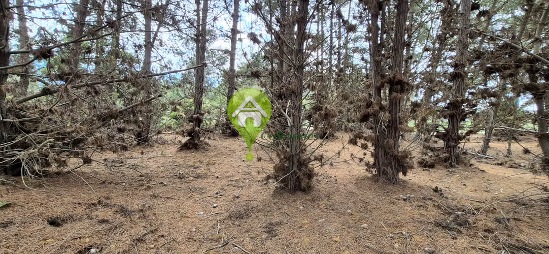 Terreno en Playa Ritoque - Imagen 7