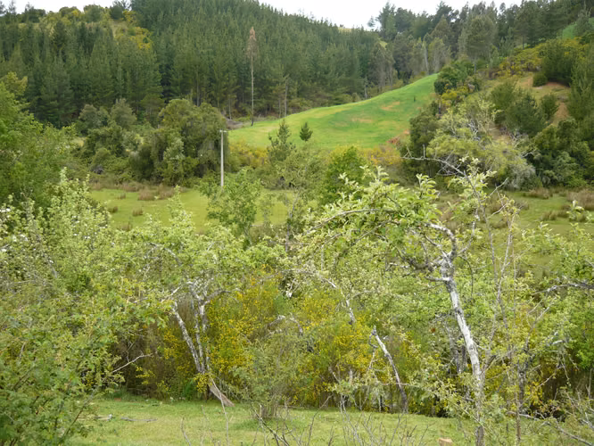 Venta de terreno - Imagen 4