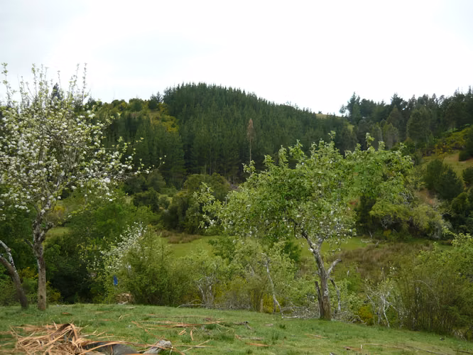Venta de terreno - Imagen 2