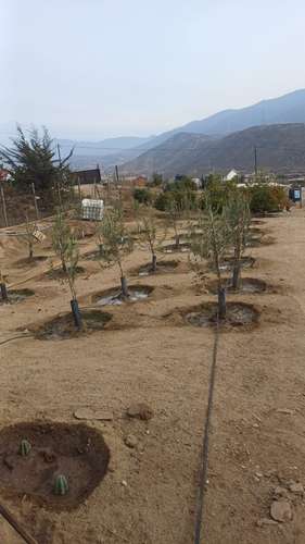 PRECIOSA PARCELA 5000 M2 CON PISCINA EN EL ELQUI