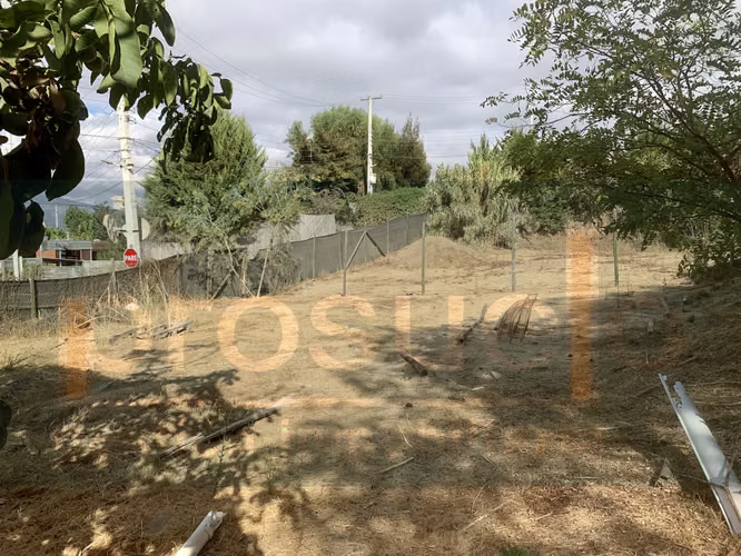 VENTA SITIO EN CONDOMINIO, OLMUÉ - Imagen 9