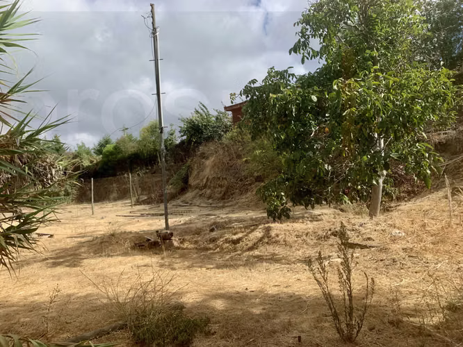 VENTA SITIO EN CONDOMINIO, OLMUÉ