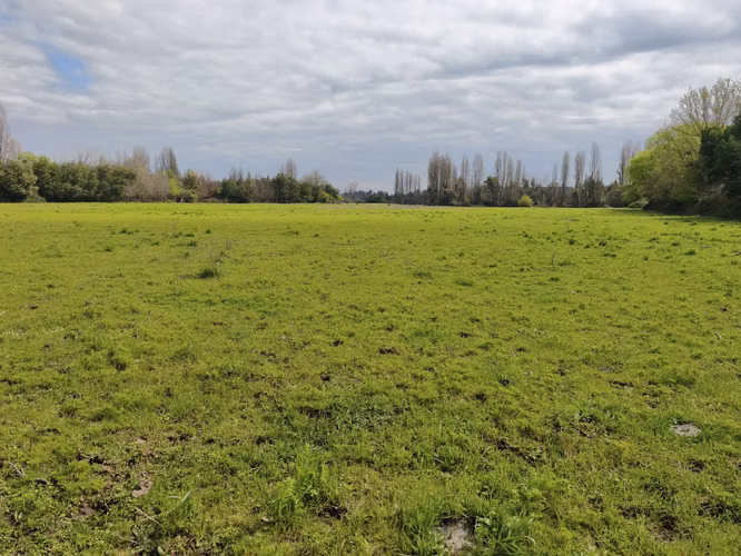 CAMPO, AGRÍCOLA, EN VENTA, 24,3 HA, COLBÚN, REGIÓN DEL MAULE