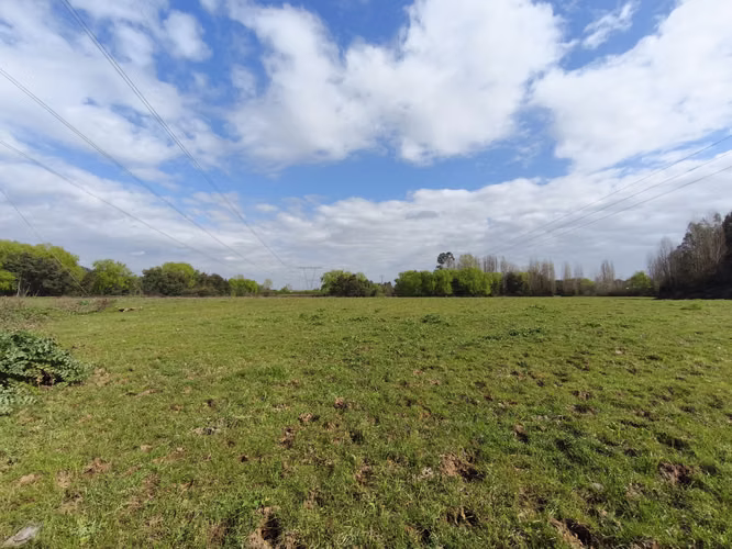 CAMPO, AGRÍCOLA, EN VENTA, 24,3 HA, COLBÚN, REGIÓN DEL MAULE