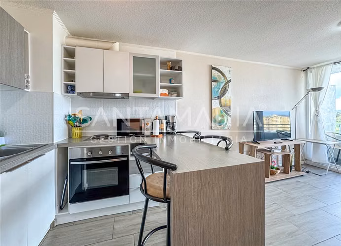 ARRIENDO Departamento en General Cruz, Concepción - Imagen 2