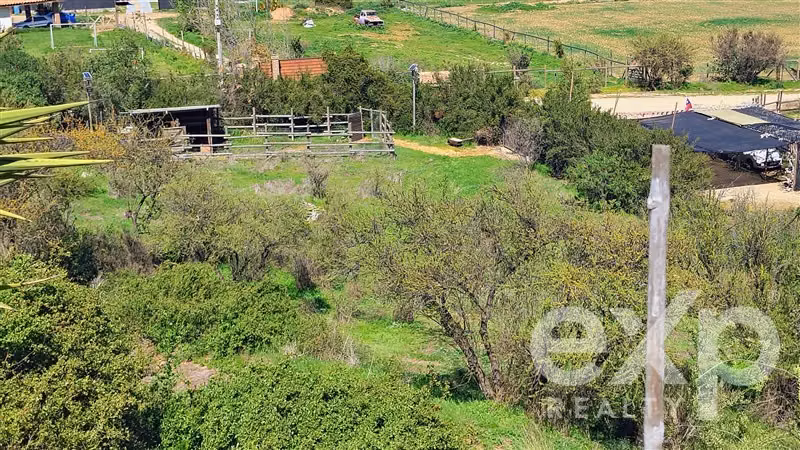 Parcela en Olmué. 5.000 m2. Loteo consolidado. - Imagen 1