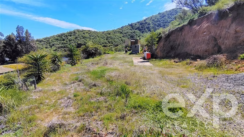 Parcela en Olmué. 5.000 m2. Loteo consolidado. - Imagen 18