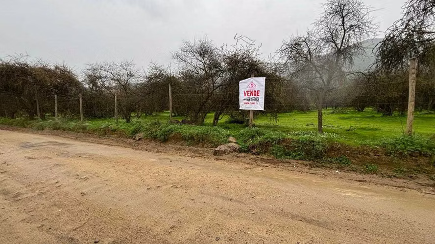 Parcela con Acceso Rápido A la Ciudad (184704) - Imagen 3