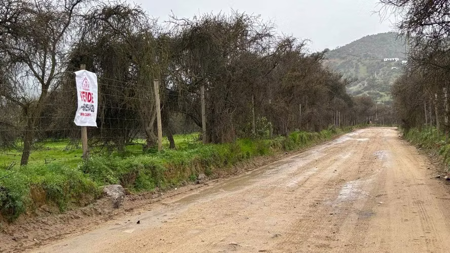 Parcela con Acceso Rápido A la Ciudad (184704) - Imagen 8