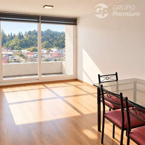 Arriendo 3D2B(estacionamiento+bodega)GGCC incl. pet friendly - Imagen 3