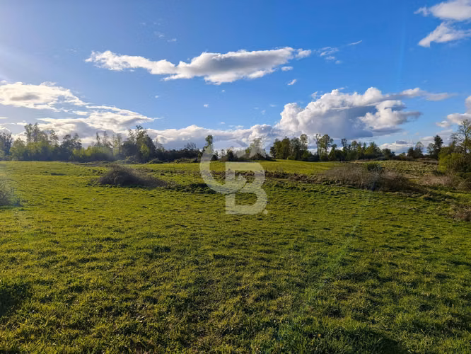 Predio 2 ha a 20 min de Osorno – Ruta U-55