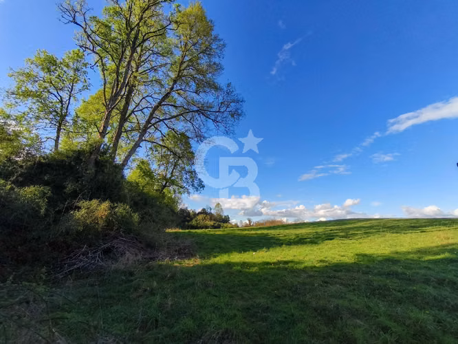Predio 2 ha a 20 min de Osorno – Ruta U-55