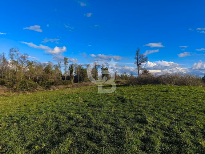 Predio 2 ha a 20 min de Osorno – Ruta U-55