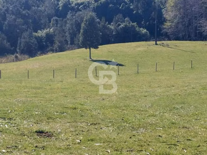 Tu refugio en el sur, con vista a volcanes y Lago Rupanco