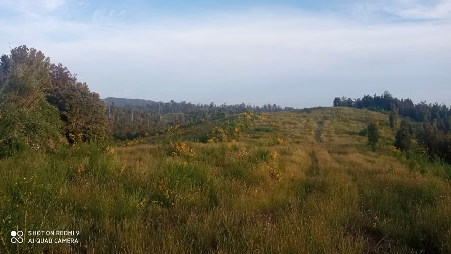 VENTA  TERRENO TURISTICO 60 HECTAREAS SECTOR RIO CHEPU ANCUD