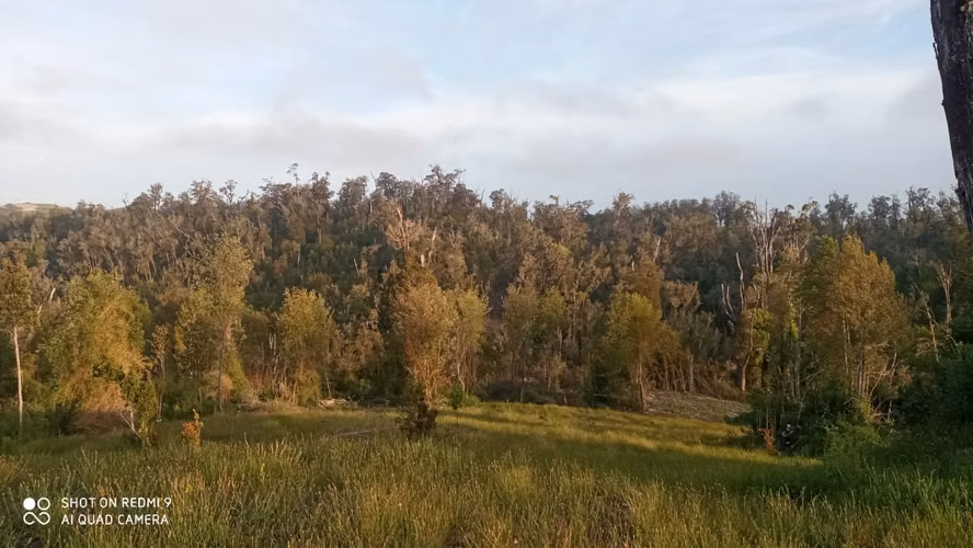 VENTA  TERRENO TURISTICO 60 HECTAREAS SECTOR RIO CHEPU ANCUD
