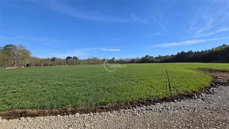 Sitio en venta en Vilcún - Imagen 19