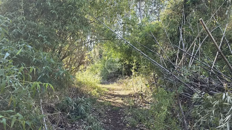 Sitio en venta en Vilcún - Imagen 13