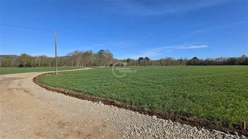 Sitio en venta en Vilcún - Imagen 8