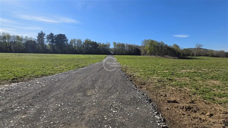 Sitio en venta en Vilcún - Imagen 9