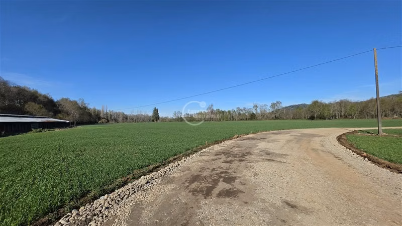 Sitio en venta en Vilcún - Imagen 21