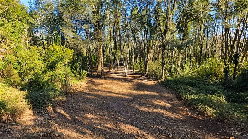 Sitio en venta en Vilcún - Imagen 11