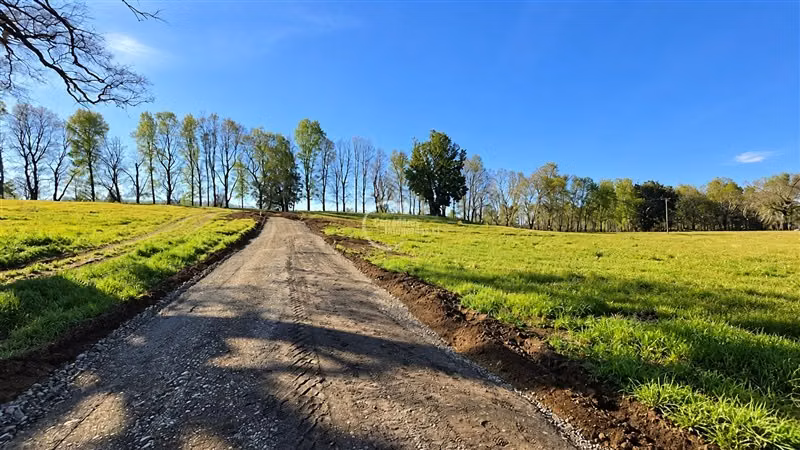 Sitio en venta en Vilcún - Imagen 7