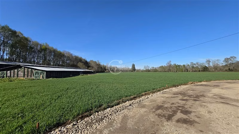 Sitio en venta en Vilcún - Imagen 23