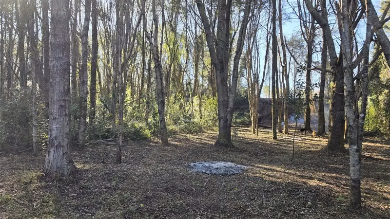 Parcela en venta en Vilcún - Imagen 3