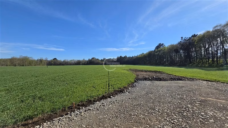 Parcela en venta en Vilcún - Imagen 18