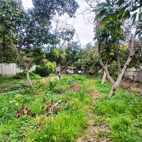 VENDE POPIEDAD CALLE PRINCIPAL HIJUELAS 2620 M2 TERRENO