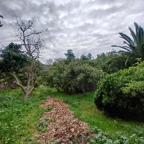 VENDE POPIEDAD CALLE PRINCIPAL HIJUELAS 2620 M2 TERRENO