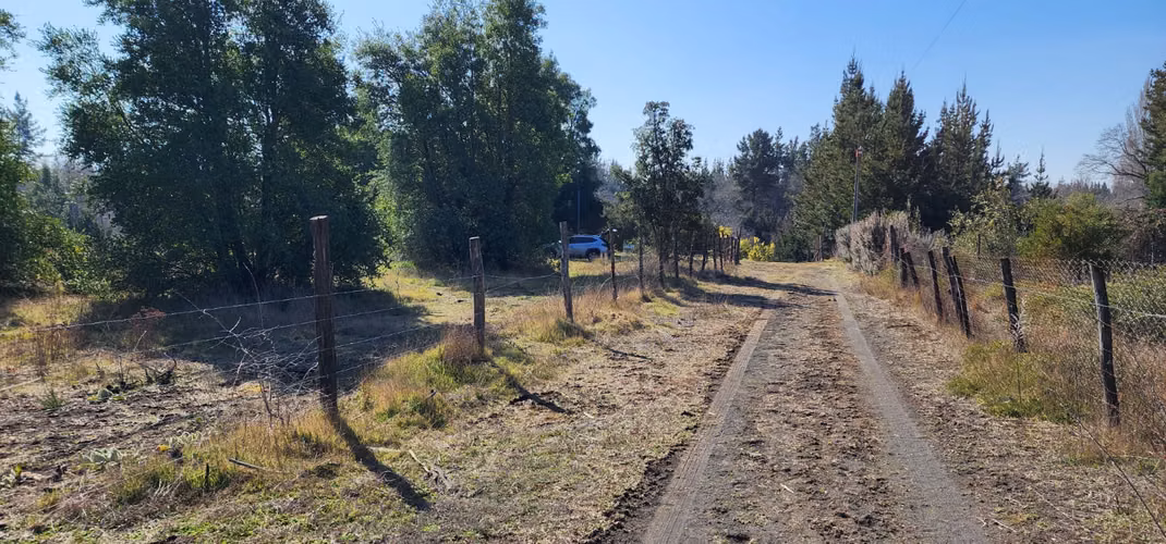 Venta terreno 4.6 hectareas - Imagen 4