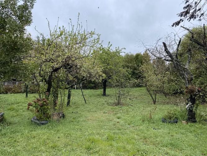 VENDO HERMOSA PARCELA CON CASA CHACAYAL SUR - Imagen 10