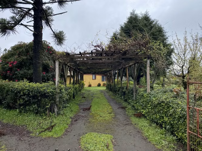 VENDO HERMOSA PARCELA CON CASA CHACAYAL SUR - Imagen 1