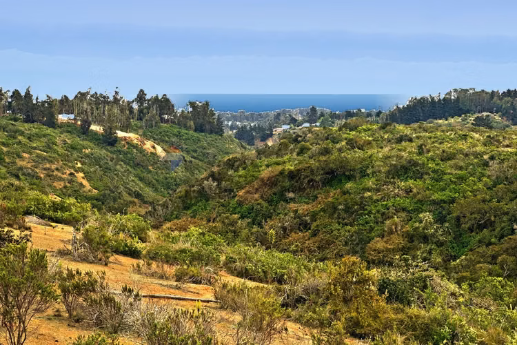 Inversión y calidad de vida en algarrobo